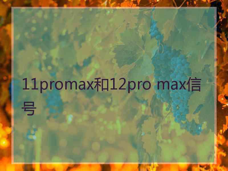 11promax和12pro max信号