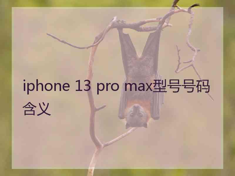 iphone 13 pro max型号号码含义