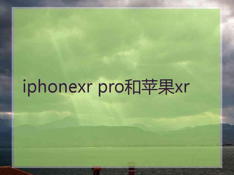 iphonexr pro和苹果xr