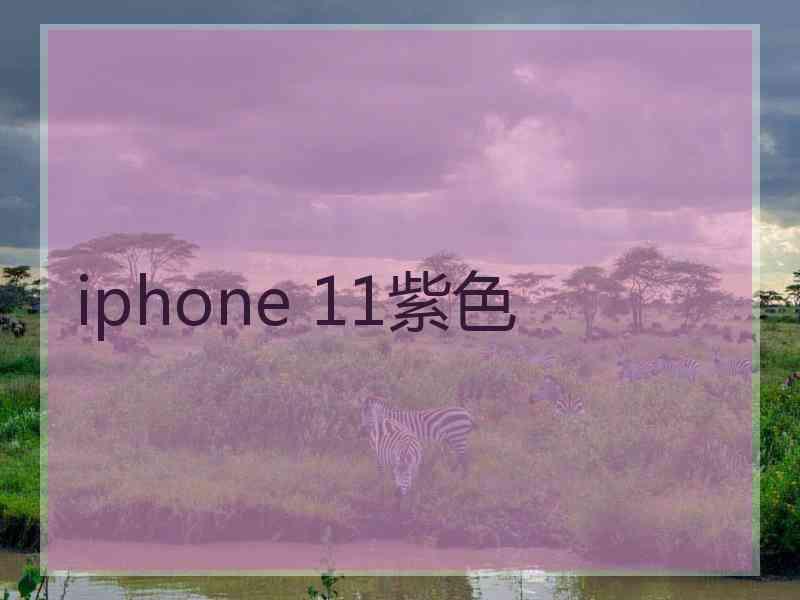 iphone 11紫色