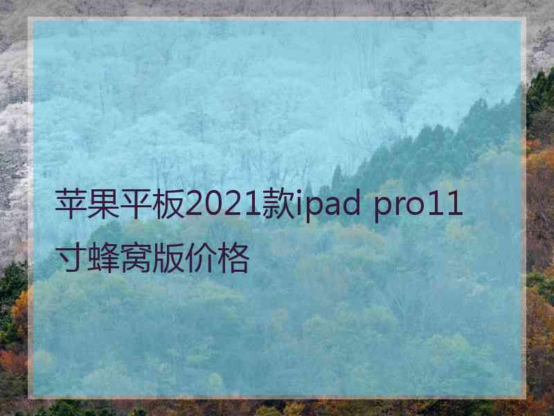 苹果平板2021款ipad pro11寸蜂窝版价格