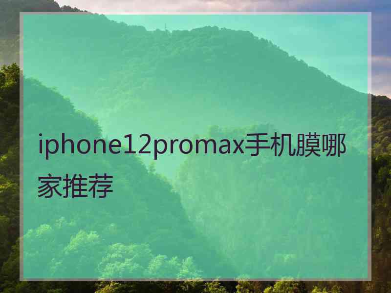 iphone12promax手机膜哪家推荐