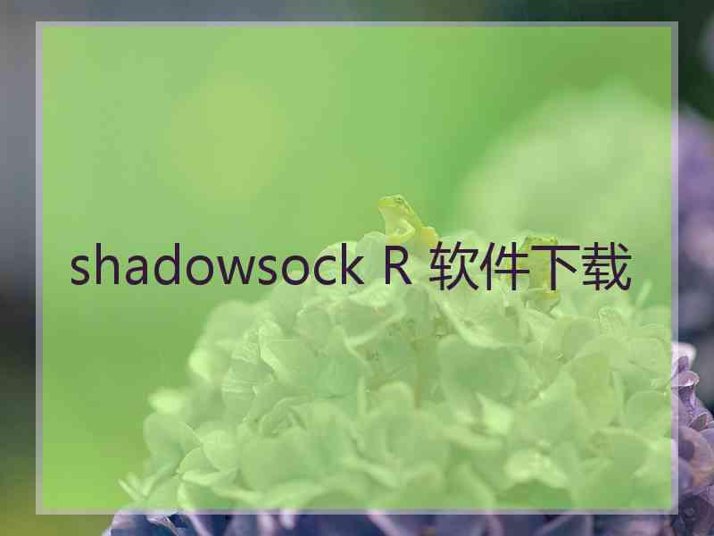 shadowsock R 软件下载