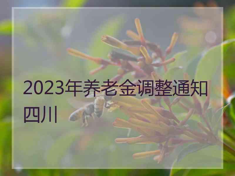 2023年养老金调整通知四川