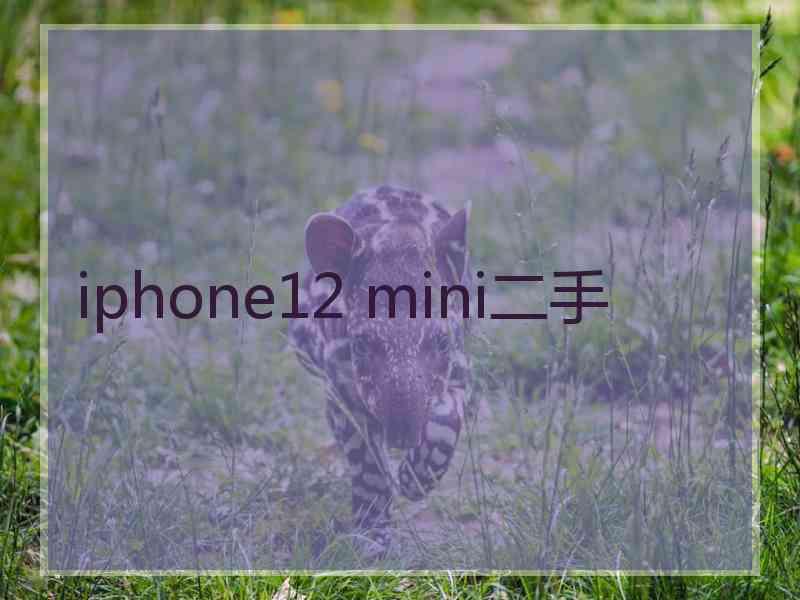 iphone12 mini二手