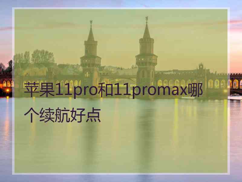 苹果11pro和11promax哪个续航好点