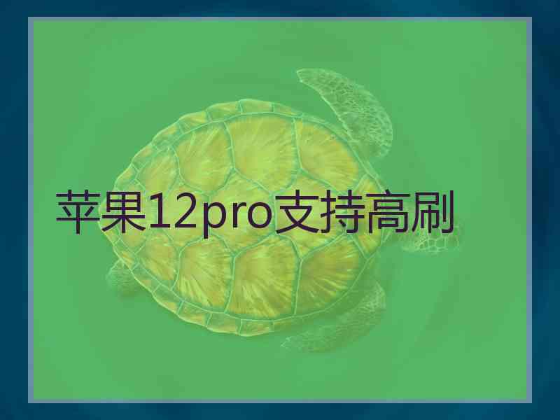 苹果12pro支持高刷