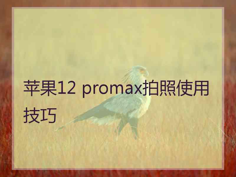 苹果12 promax拍照使用技巧