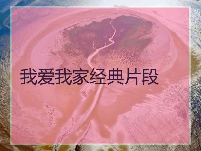 我爱我家经典片段