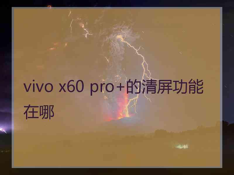 vivo x60 pro+的清屏功能在哪