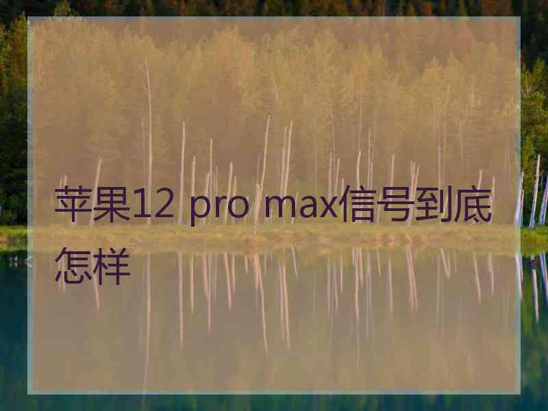 苹果12 pro max信号到底怎样