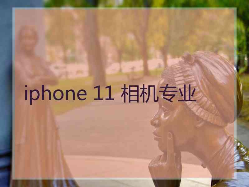 iphone 11 相机专业