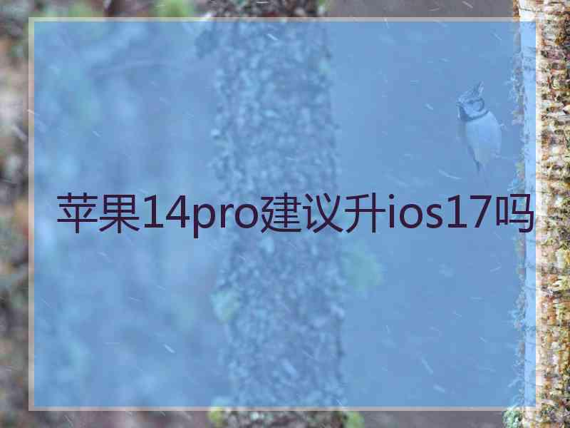 苹果14pro建议升ios17吗