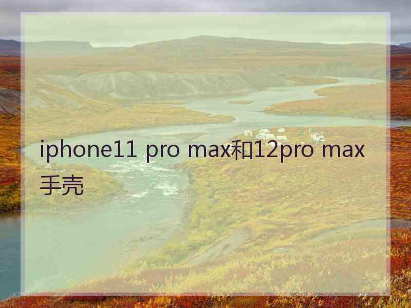 iphone11 pro max和12pro max手壳