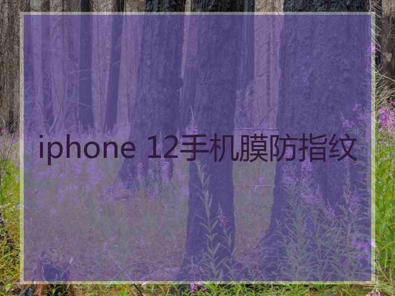 iphone 12手机膜防指纹