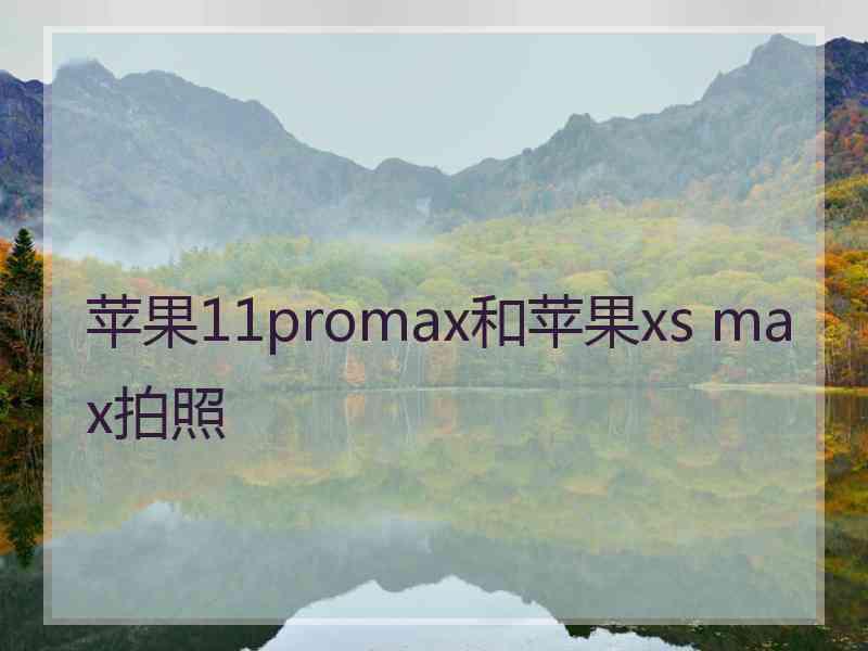 苹果11promax和苹果xs max拍照