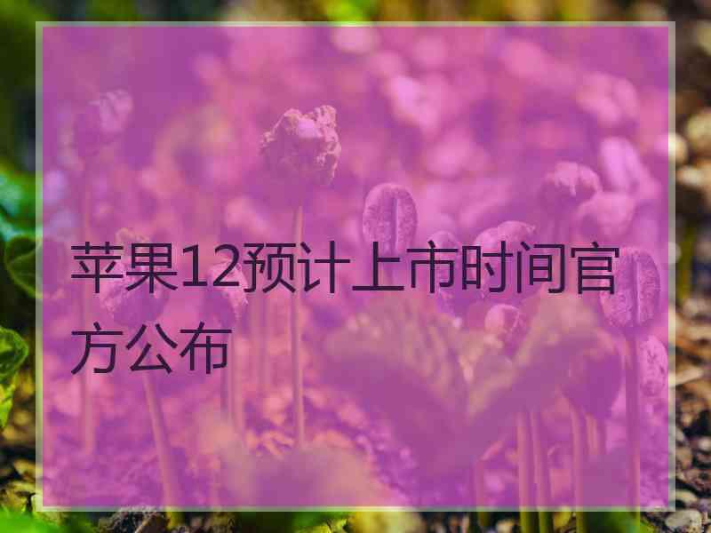 苹果12预计上市时间官方公布