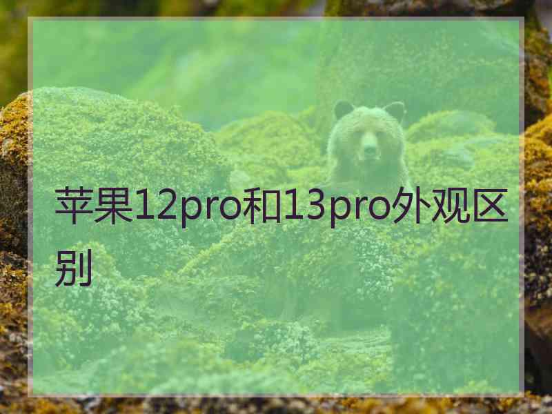 苹果12pro和13pro外观区别