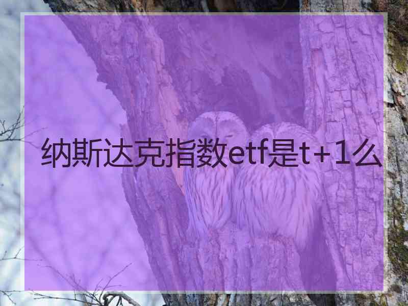 纳斯达克指数etf是t+1么