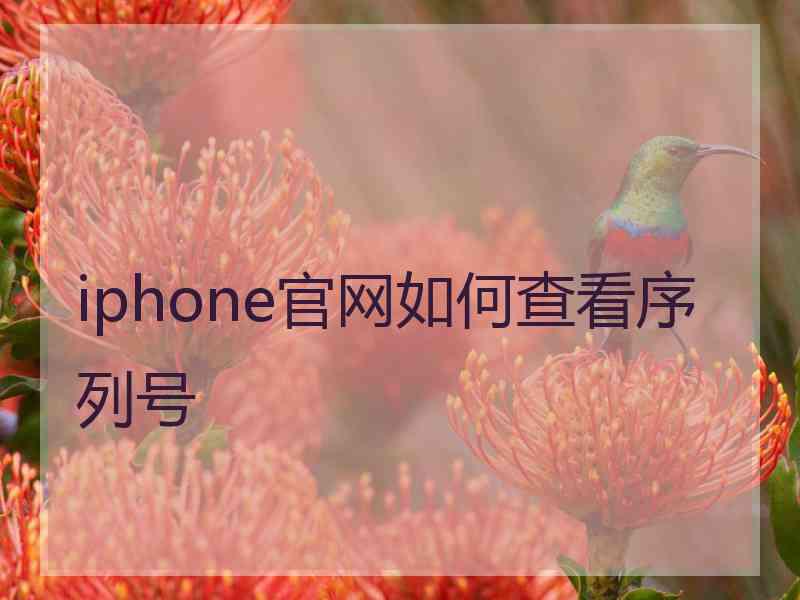 iphone官网如何查看序列号