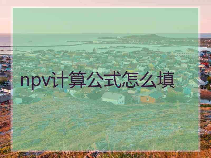 npv计算公式怎么填