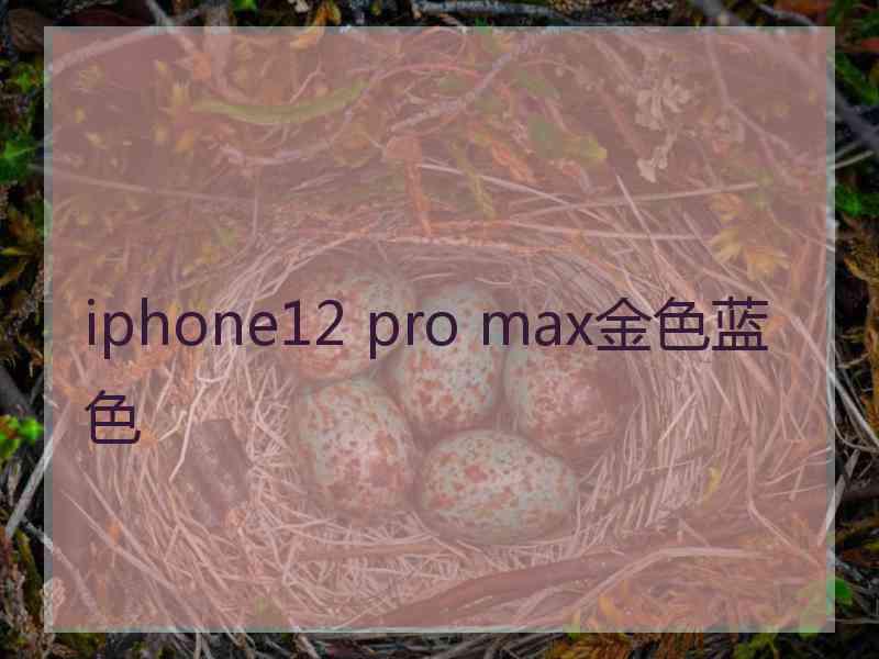 iphone12 pro max金色蓝色