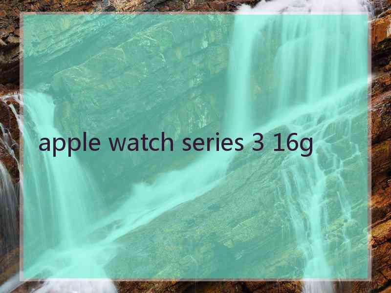 apple watch series 3 16g