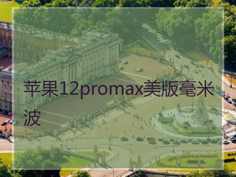 苹果12promax美版毫米波