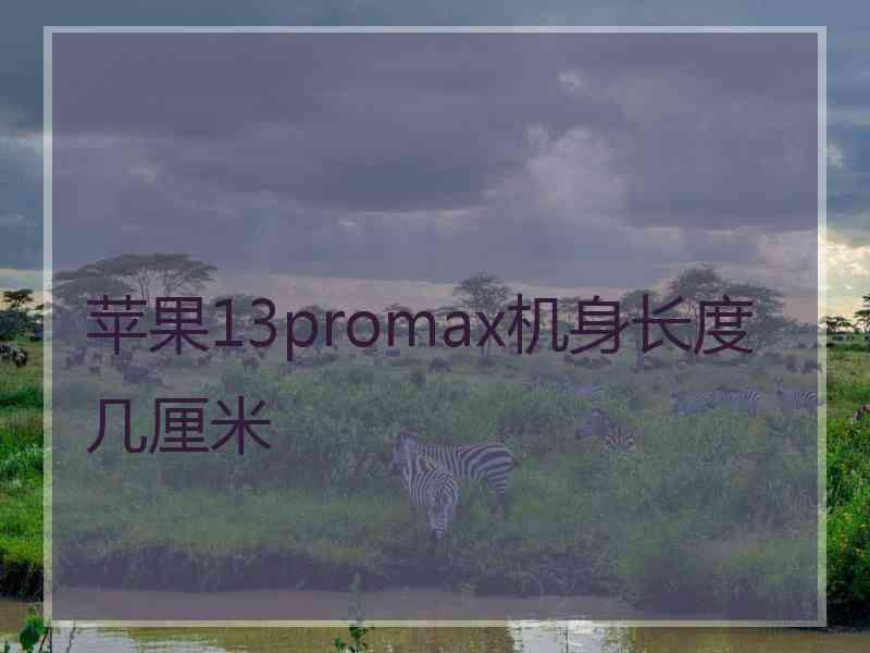 苹果13promax机身长度几厘米