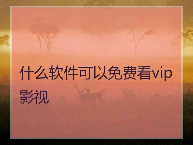 什么软件可以免费看vip影视