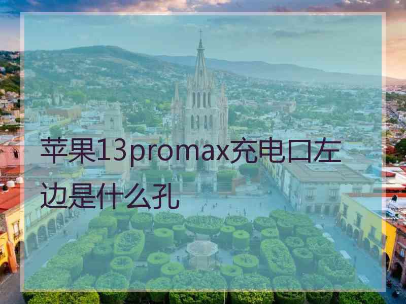 苹果13promax充电口左边是什么孔