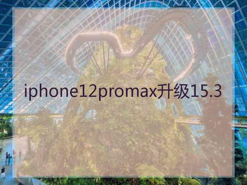 iphone12promax升级15.3