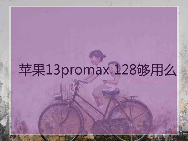 苹果13promax 128够用么