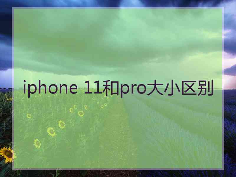 iphone 11和pro大小区别