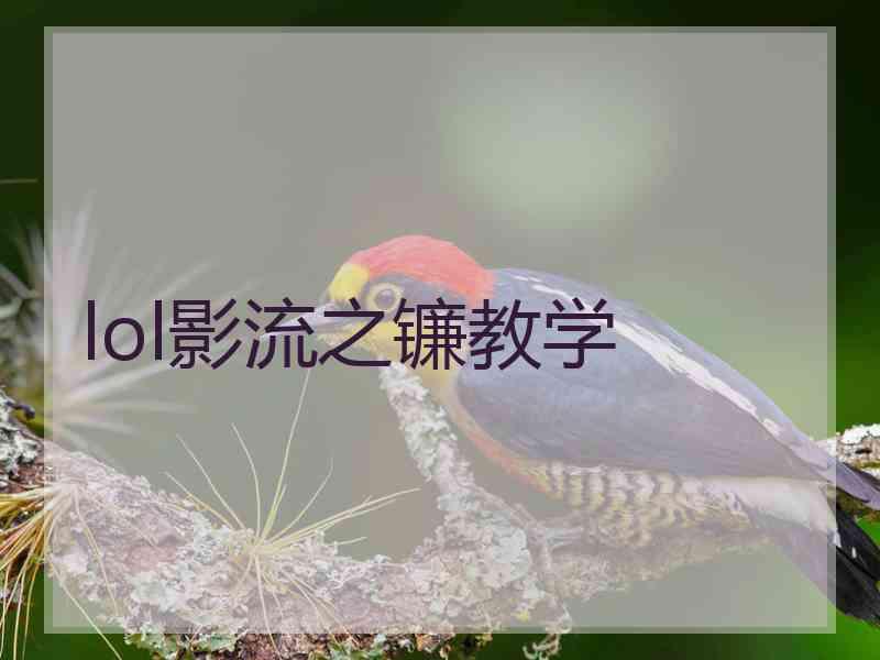 lol影流之镰教学