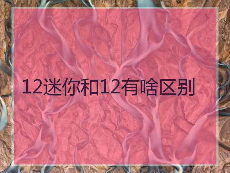 12迷你和12有啥区别