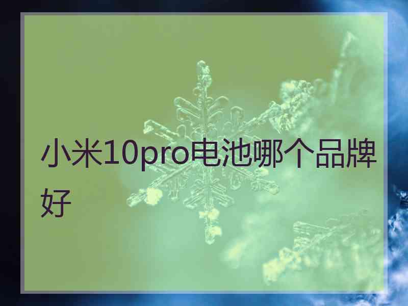 小米10pro电池哪个品牌好