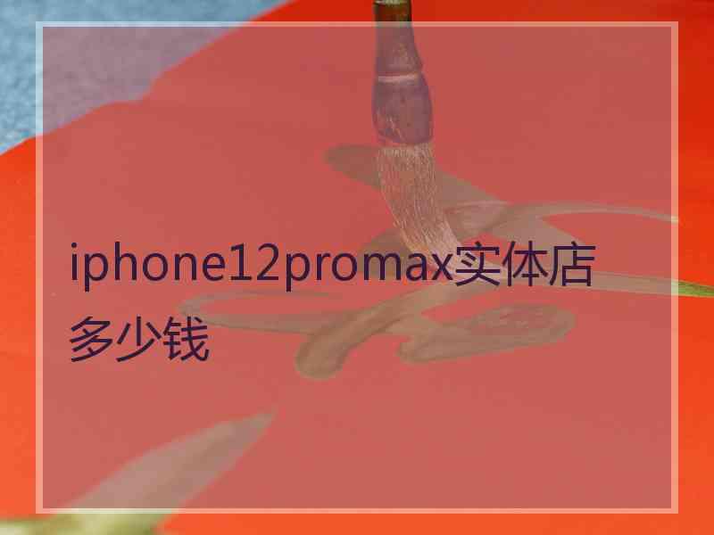 iphone12promax实体店多少钱