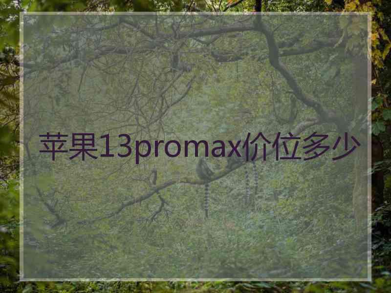 苹果13promax价位多少