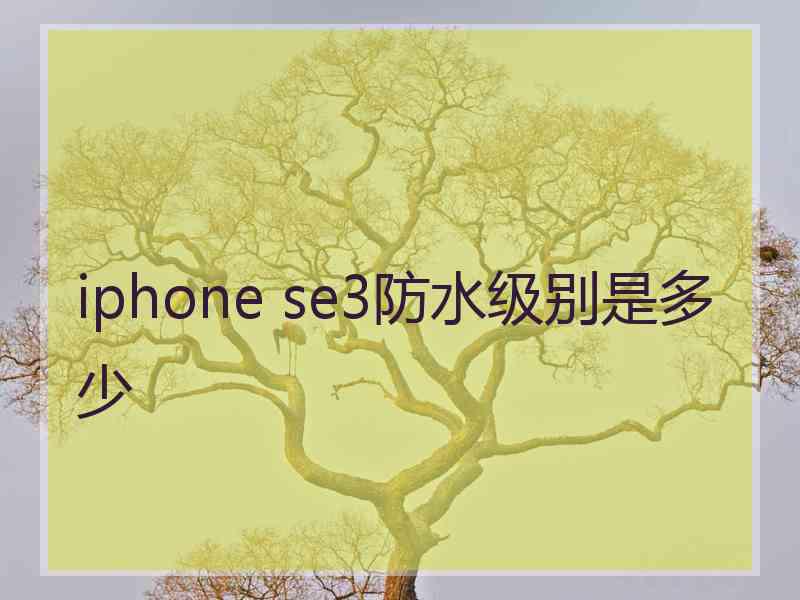 iphone se3防水级别是多少