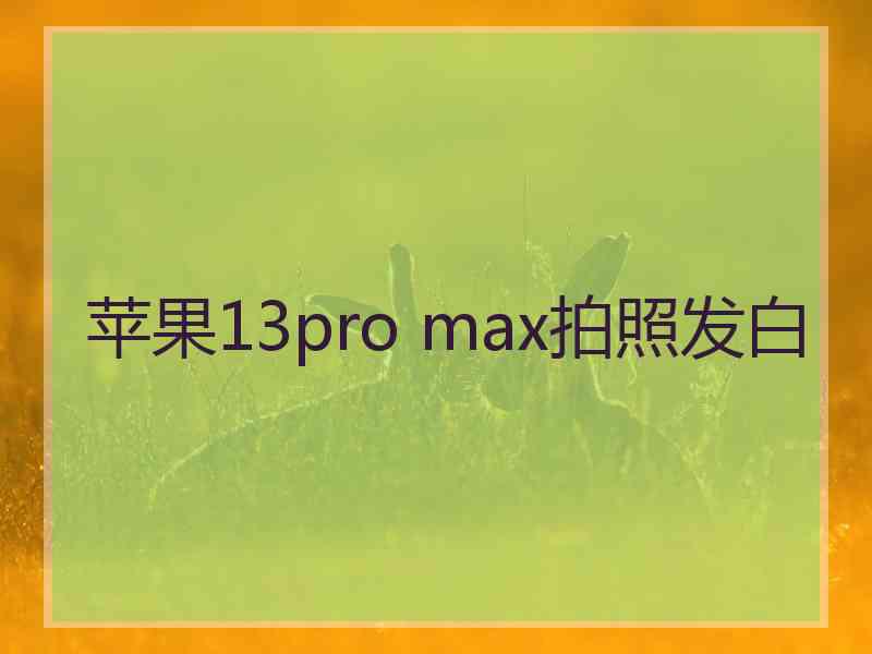 苹果13pro max拍照发白