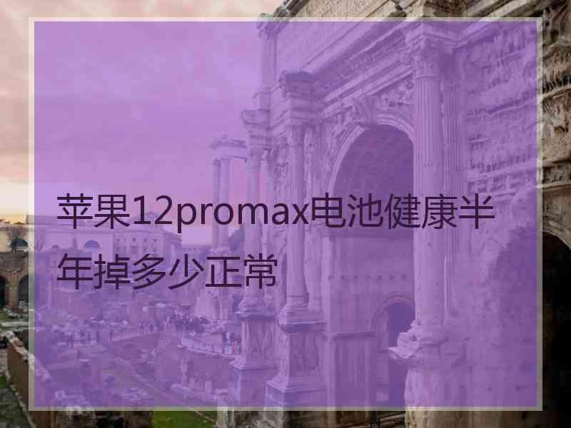 苹果12promax电池健康半年掉多少正常