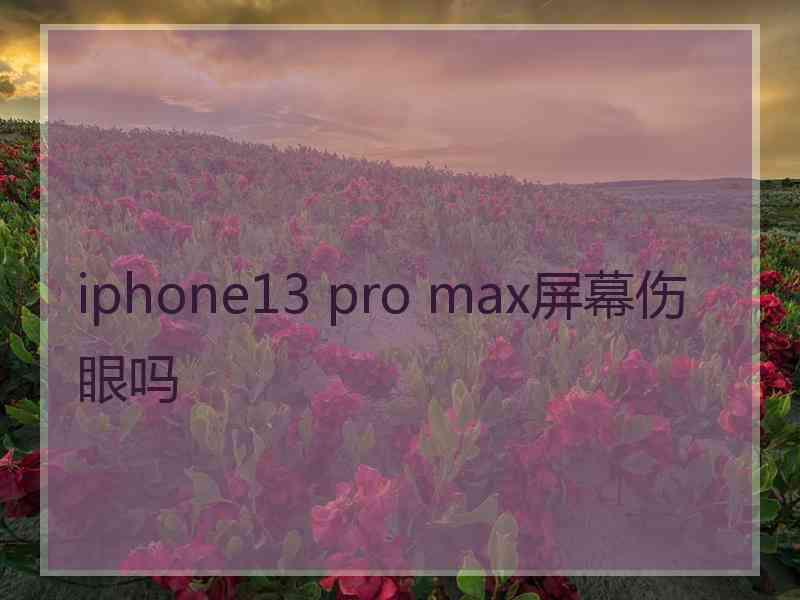 iphone13 pro max屏幕伤眼吗