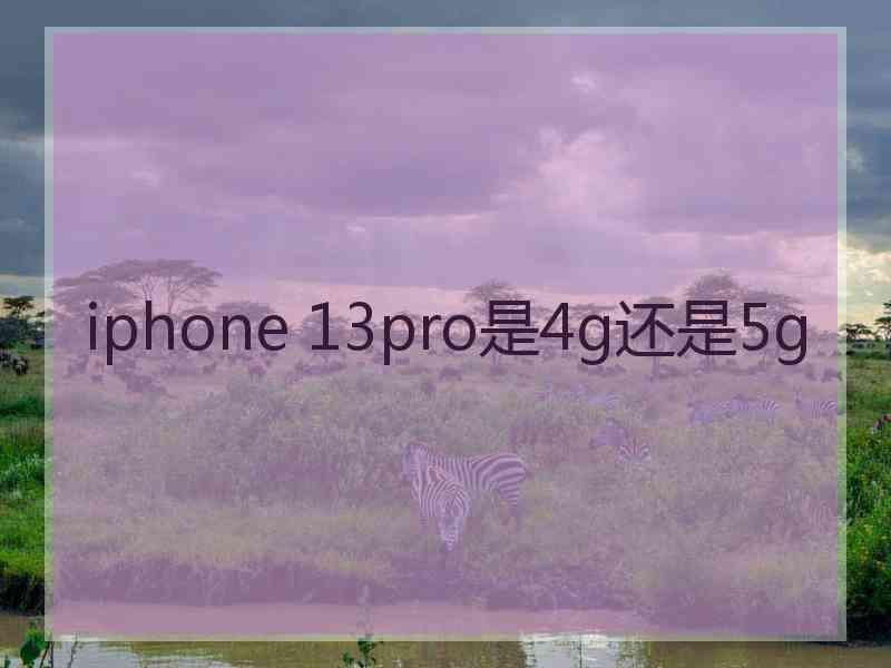 iphone 13pro是4g还是5g