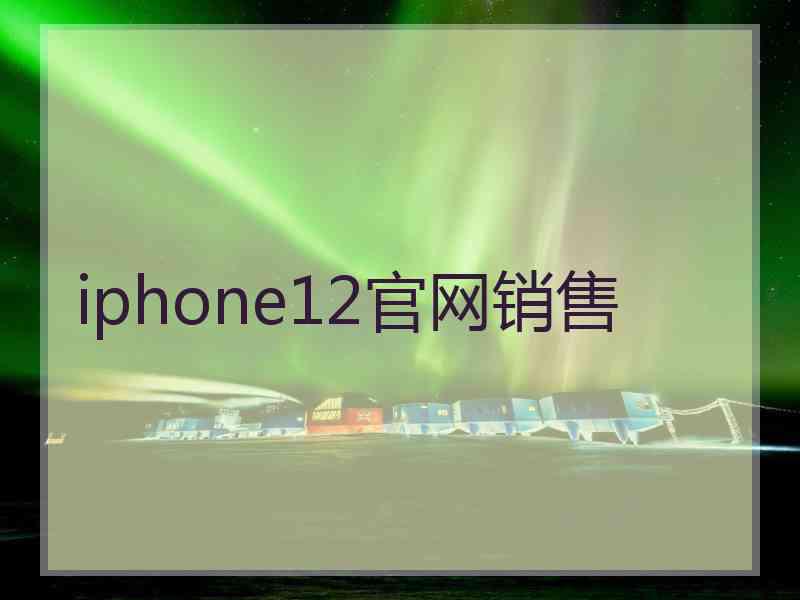 iphone12官网销售