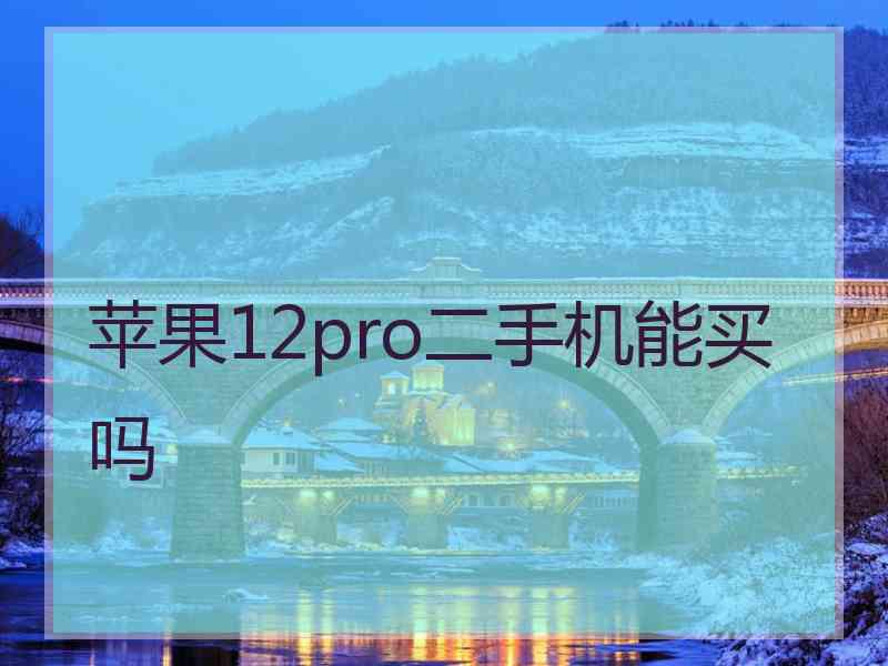 苹果12pro二手机能买吗