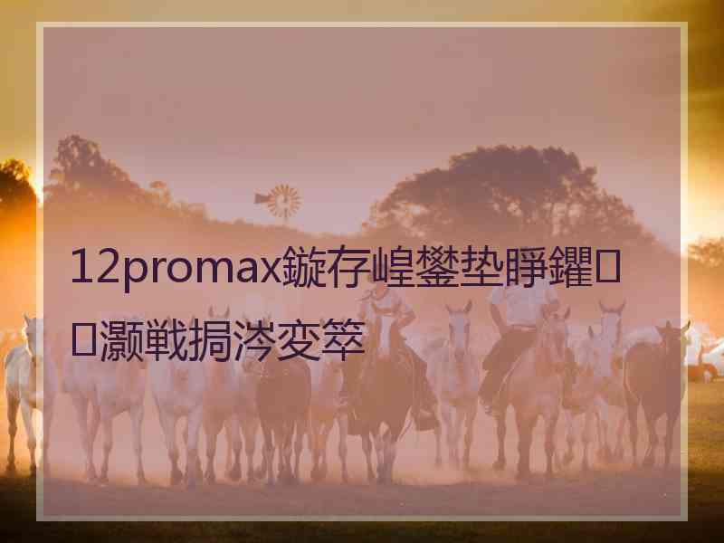 12promax鏇存崲鐢垫睜鑺灏戦挶涔変箤