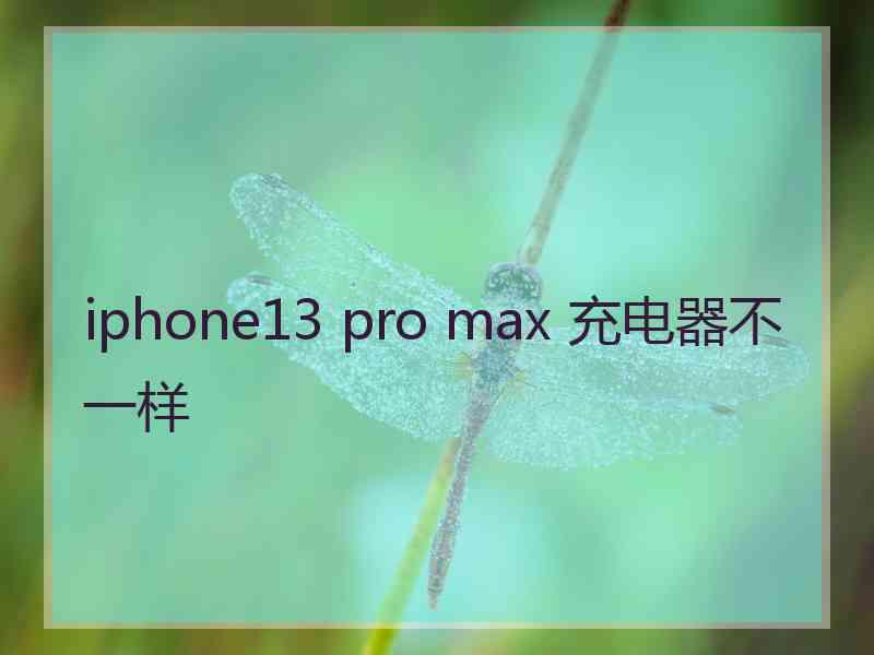 iphone13 pro max 充电器不一样