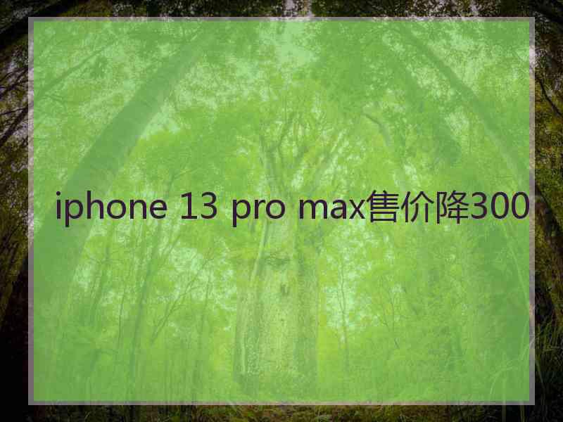 iphone 13 pro max售价降300