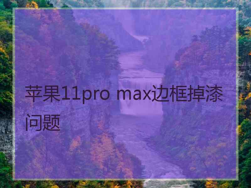 苹果11pro max边框掉漆问题